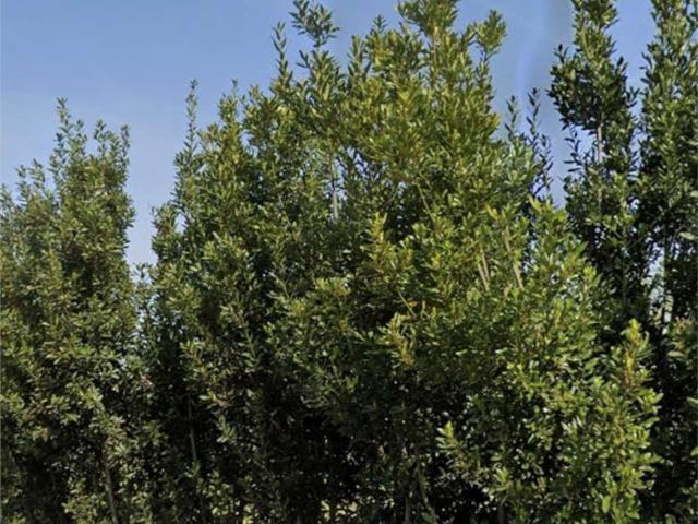 Appartamento in vendita di 141 m² in Via Giara