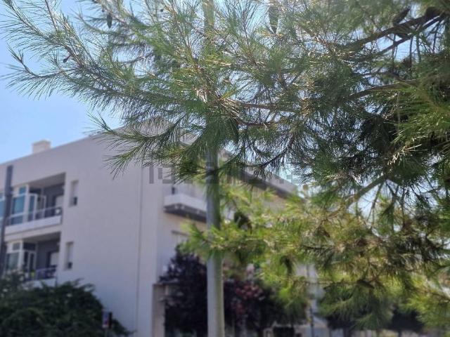 Appartamento in vendita di 145 m² in Via Trieste