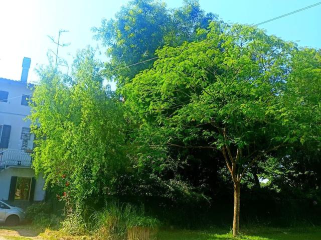 Appartamento in vendita di 147 m² in Via Granara