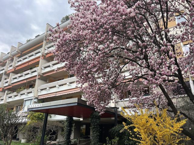 Appartamento in vendita di 149 m² in Via Max Valier, 10