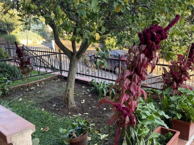Appartamento in vendita di 160 m² in Strada Provinciale Capalbio
