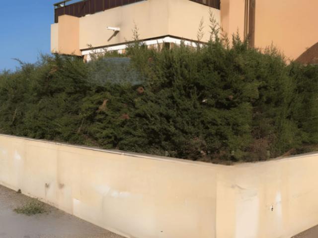 Appartamento in vendita di 163 m² in Via Galeso, 347