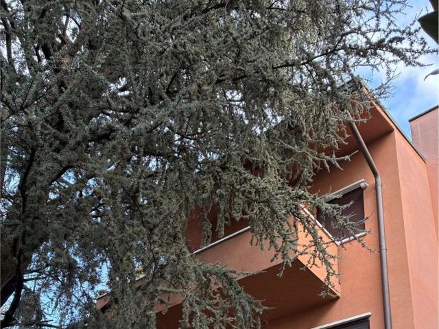 Appartamento in vendita di 164 m² in Viale Assunta, 57