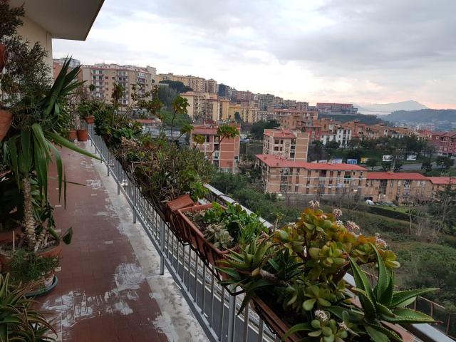 Appartamento in vendita di 170 m² in Via San Domenico, 29