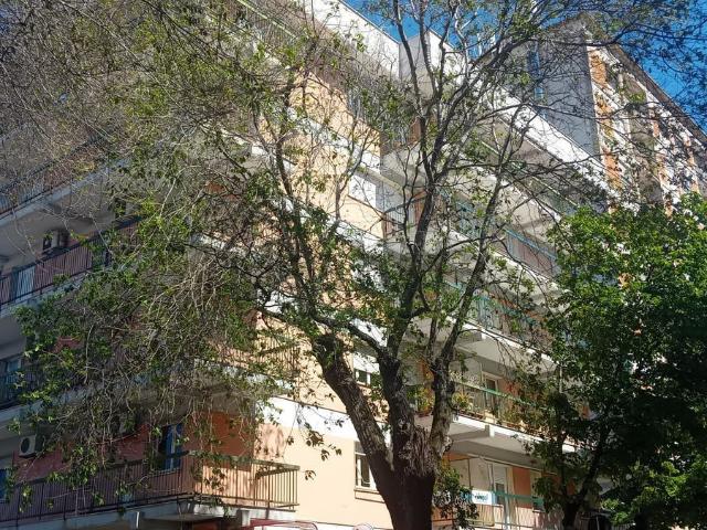 Appartamento in vendita di 170 m² in Viale Umberto I