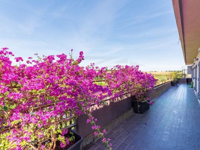 Appartamento in vendita di 180 m² in Via Maffeo Pantaleoni
