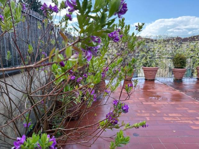 Appartamento in vendita di 195 m² in Via Pietro Maroncelli, 9