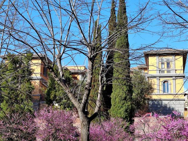 Appartamento in vendita di 220 m² in Via Mazzini