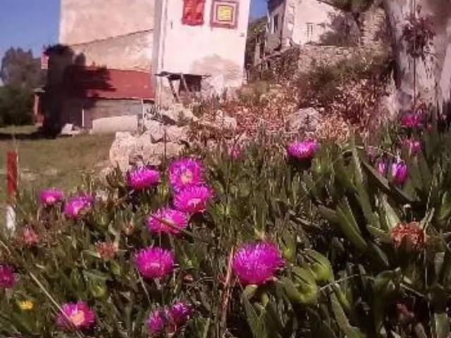 Appartamento in vendita di 220 m² in Località Gabbiola