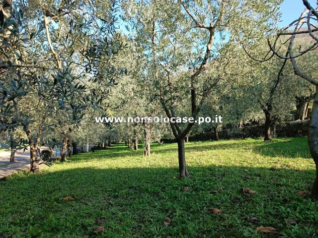 Appartamento in vendita di 228 m² in Via del Canneto, 12