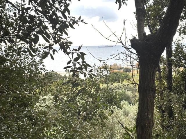 Appartamento in vendita di 27 m² in Via del Littorale, 281