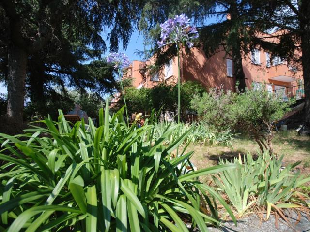 Appartamento in vendita di 260 m² in Via delle Agave