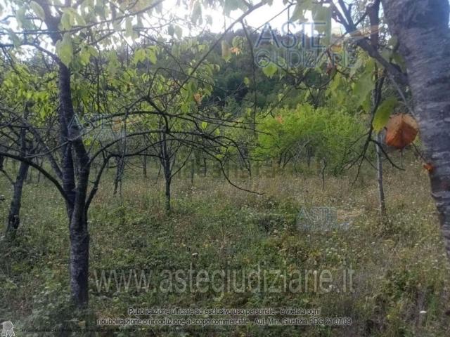 Appartamento in vendita di 296 m²