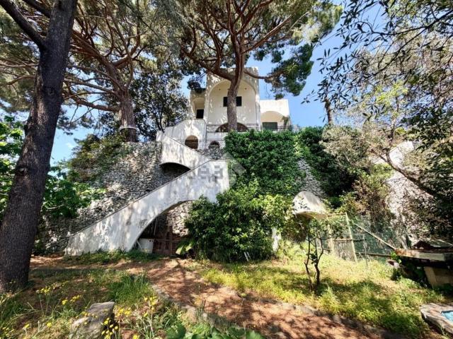 Appartamento in vendita di 300 m² in Via delle Mimose, 7