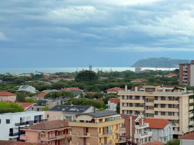 Appartamento in vendita di 335 m² in Piazza Unità