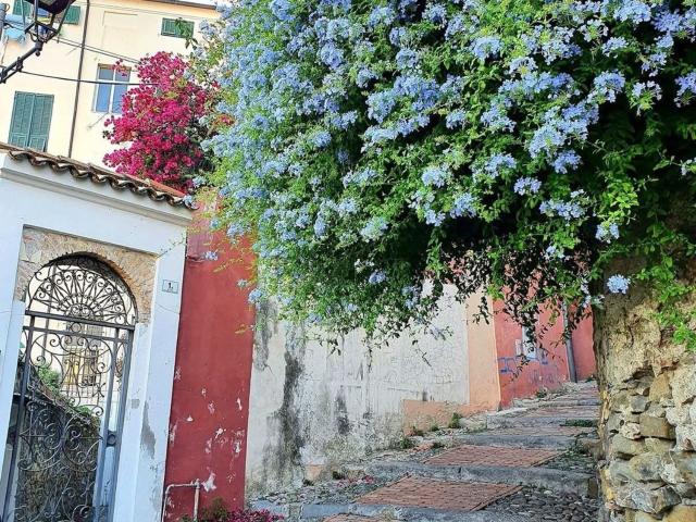 Appartamento in vendita di 35 m² in Vicolo dei Bottini