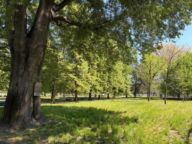 Appartamento in vendita di 35 m² in Via Privata dei Frassini, 39