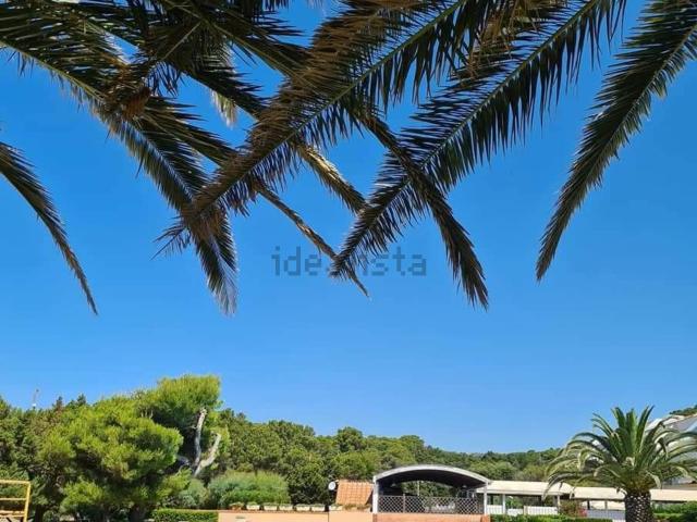 Appartamento in vendita di 38 m²
