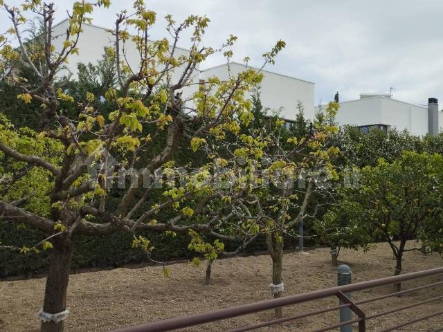 Appartamento in villa via Martiri di Palermo 59, Trani