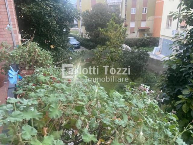 APPARTAMENTO INDIPENDENTE di 5 vani e di 135 mq GROSSETO rif. 03555