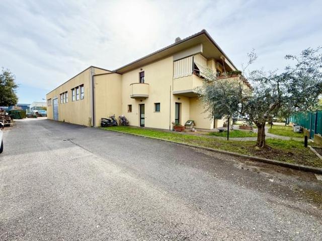 APPARTAMENTO INDIPENDENTE di 6 vani e di 133 mq GROSSETO Grosseto rif. CI.V.S.A