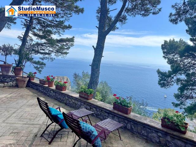 APPARTAMENTO INDIPENDENTE in VENDITA a CAPRI Capri di 3 vani