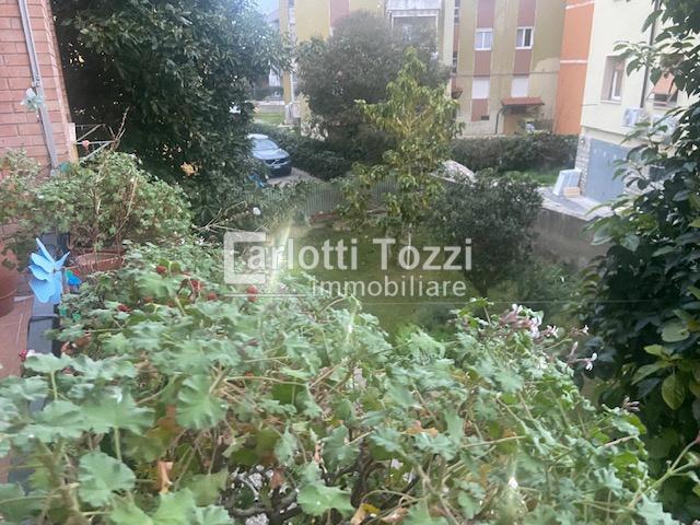 APPARTAMENTO INDIPENDENTE in VENDITA a GROSSETO STADIO di 5 vani