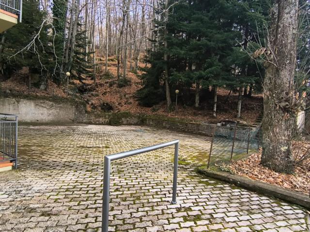 APPARTAMENTO INDIPENDENTE in VENDITA a SANTA FIORA di 3 vani