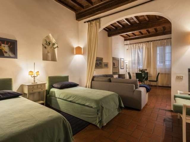 Appartamento monolocale in affitto a Firenze