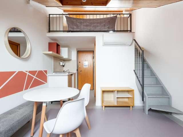 Appartamento monolocale in affitto a Milano, Milano