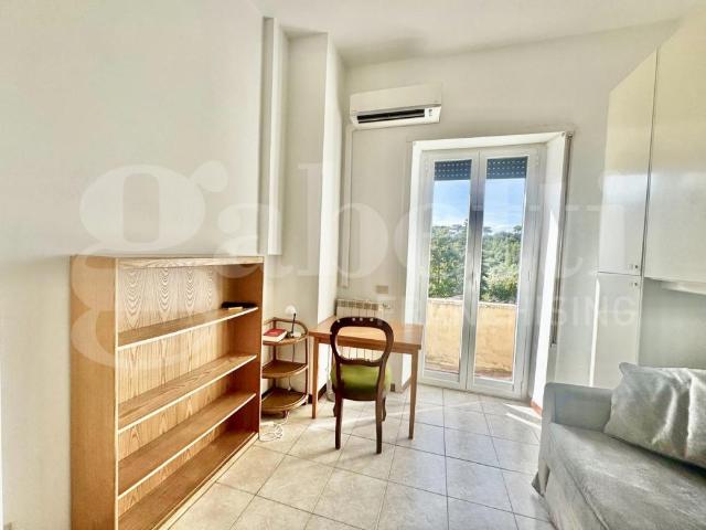 Appartamento MONOLOCALE in affitto a Roma Rm
