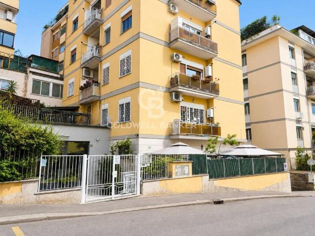 Appartamento MONOLOCALE in affitto a Roma Rm