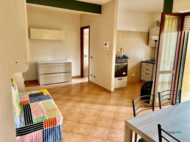 Appartamento MONOLOCALE in affitto a Roma Rm