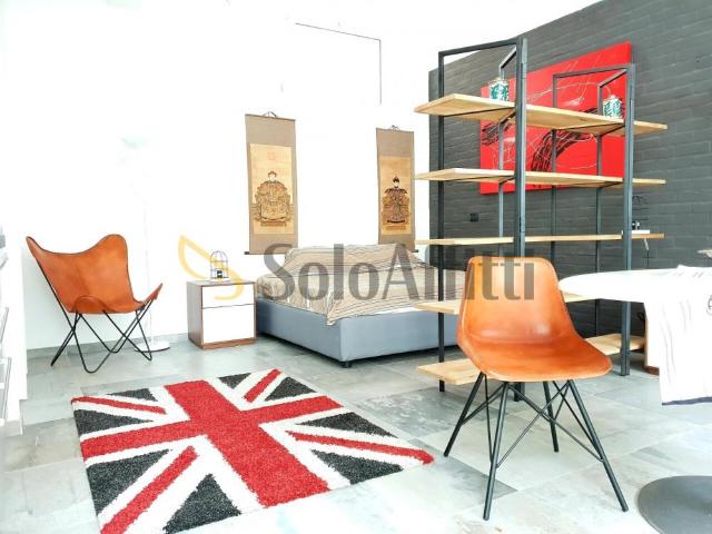 Appartamento MONOLOCALE in affitto a Torino To
