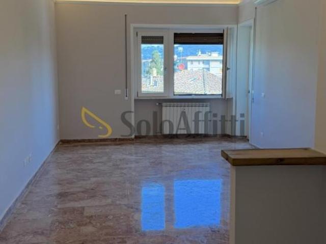 Appartamento PLURILOCALE in affitto a Firenze Fi