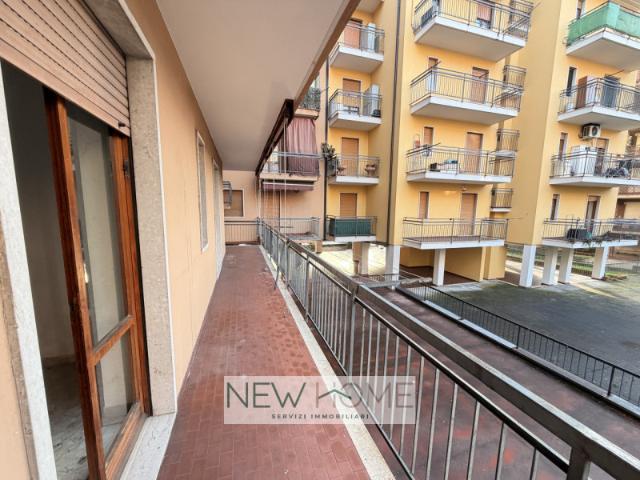 Appartamento PLURILOCALE in affitto a Verona Vr