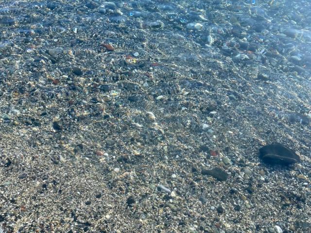 Appartamento Quadrilocale a Sestri Levante