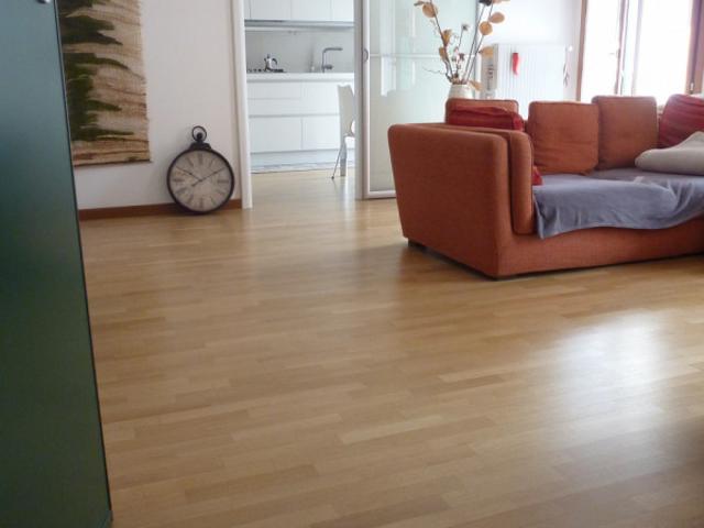 Appartamento QUADRILOCALE in affitto a Treviso Tv