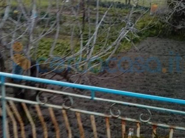 Appartamento Quadrilocale in affitto a Napoli