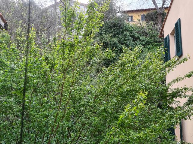 Appartamento ristrutturato a Pescia