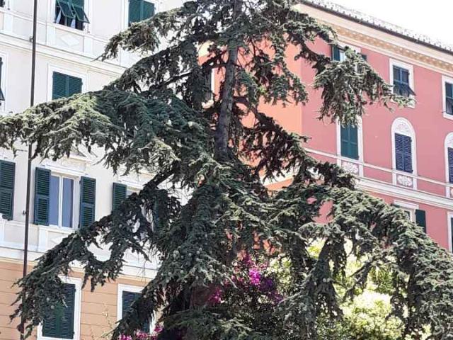 Appartamento ristrutturato in via delle cappuccine, Genova
