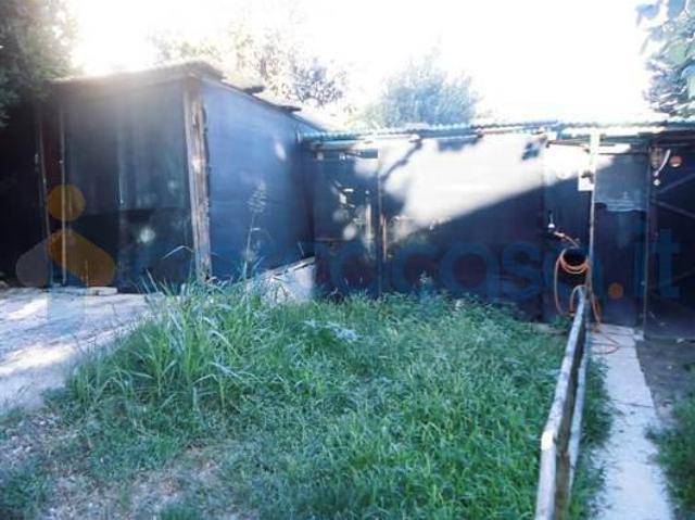 Appartamento Trilocale in affitto a Monte San Vito
