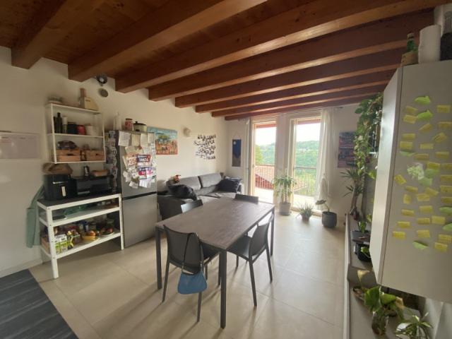 Appartamento TRILOCALE in affitto a Monteviale Vi