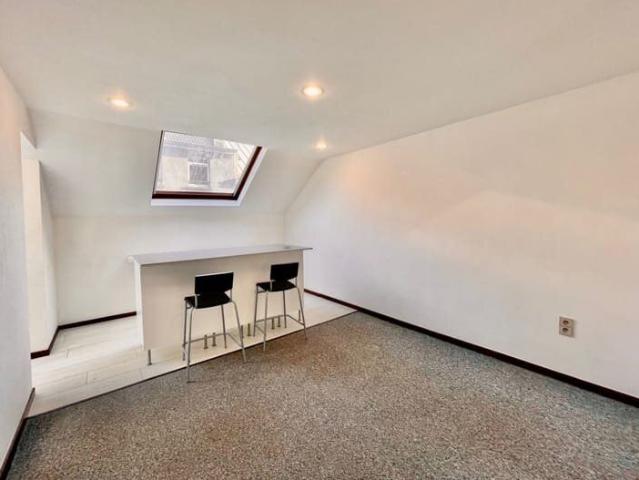 Appart/Duplex 1ch PROX. Flagey & Malibran