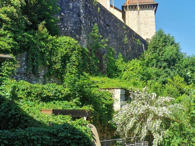 Appartement, 40m2, 2 Pièces, Vieille Ville