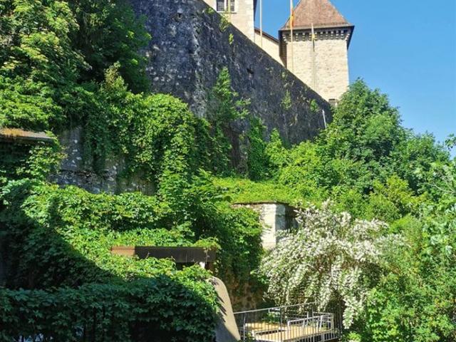 Appartement, 40m2, 2 Pièces, Vieille Ville