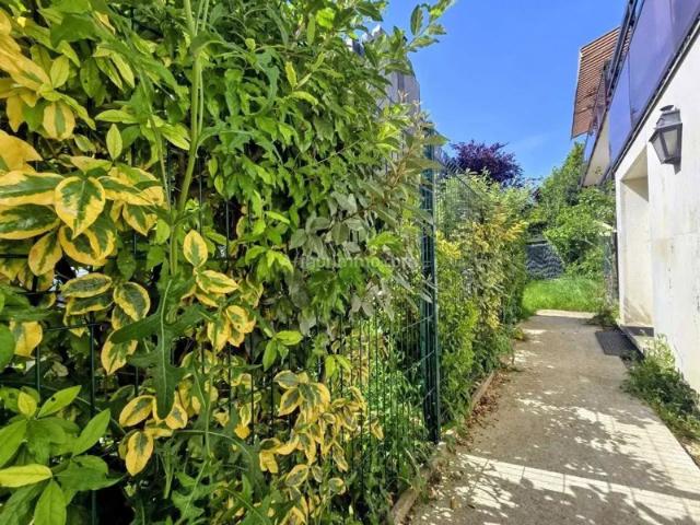 Appartement 41 m2 2 pièces
