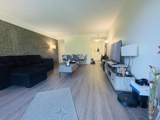 Appartement 4 ½ à louer Montcalm / Saint Sacrement septembre 2026
