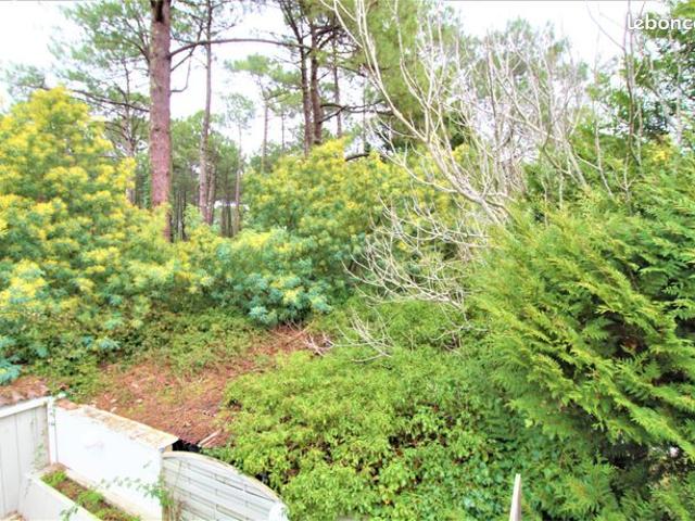 Appartement 4 pièces 47 m²