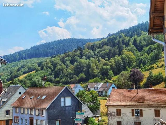 Appartement 4 pièces 55 m²